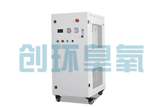 沧县石斑鱼养殖水质调控完整指南：臭氧发生器配置与操作步骤
