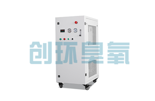 沧县比传统换水更高效？臭氧发生器在石斑鱼养殖中的水质净化原理解析